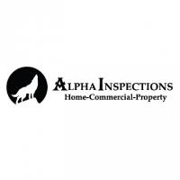 Alpha Inspections image 2