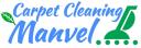 Carpet Cleaning Manvel logo