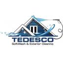 Tedesco Power Washing logo