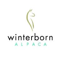 Winterborn Alpaca image 1