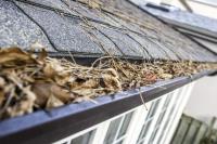Clean Pro Gutter Cleaning image 2