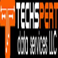 Techspert Data Solutions image 1