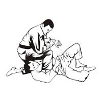 Bjj Martial Arts image 3