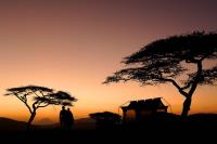 amara safari | Luxury African Safaris image 1
