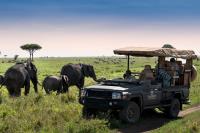 amara safari | Luxury African Safaris image 10