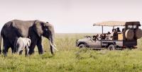 amara safari | Luxury African Safaris image 11
