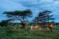 amara safari | Luxury African Safaris image 4