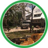 Nature's Tree Removal of Houston image 2