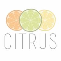 Citrus Studio image 2