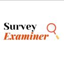 Survey Examiner logo