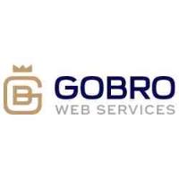 GoBro Web Design image 1