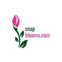 SNAP BLOOMS CORP image 1