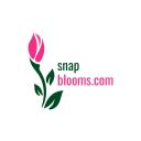 SNAP BLOOMS CORP logo