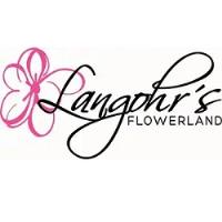 Langohr's Flowerland image 4