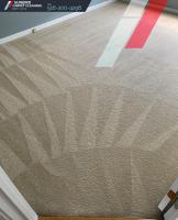 Sunbird Carpet Cleaning Glen Cove image 17