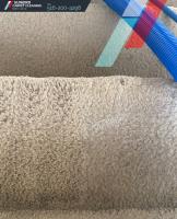 Sunbird Carpet Cleaning Glen Cove image 19