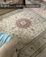 Tulip Carpet Cleaning New Rochelle image 3