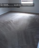 Tulip Carpet Cleaning New Rochelle image 4
