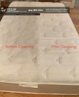 Tulip Carpet Cleaning New Rochelle image 5