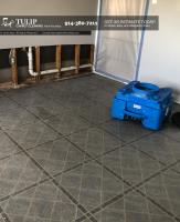 Tulip Carpet Cleaning New Rochelle image 10