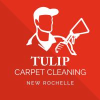 Tulip Carpet Cleaning New Rochelle image 14