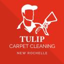 Tulip Carpet Cleaning New Rochelle logo