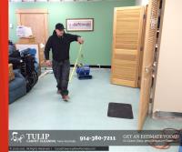 Tulip Carpet Cleaning New Rochelle image 16