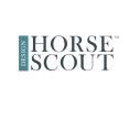  Horse Scout Design logo