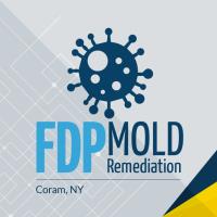 FDP Mold Remediation of Coram image 1