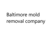 Baltimore mold removal company image 1