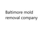 Baltimore mold removal company logo