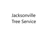 Jacksonville Tree Service image 1