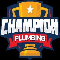 Champion Plumbing image 1