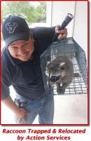 Action Services WildLife & Pest Control image 2