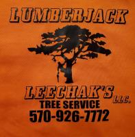 Lumberjack Leechak's Tree Service, LLC image 1