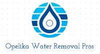 Opelika Water Removal Pros image 1