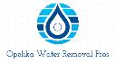 Opelika Water Removal Pros logo