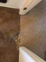 Austin Carpet Repair & Cleaning image 3