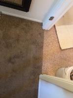Austin Carpet Repair & Cleaning image 4