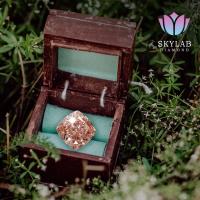 Skylab Diamond image 4