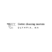 Gutter Cleaning Masters image 1