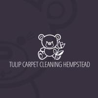 Tulip Carpet Cleaning Hempstead image 1