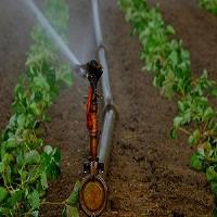 Brunswick Irrigation Company image 4