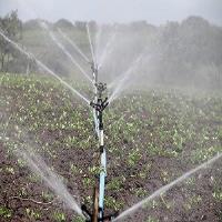 Brunswick Irrigation Company image 5