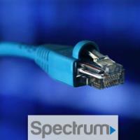 Spectrum Cypress image 2