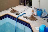 Pool Services of Orlando Inc image 1