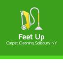 Feet Up Carpet Cleaning Salisbury NY logo