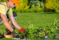 UMAC Landscaping Corp Services image 1