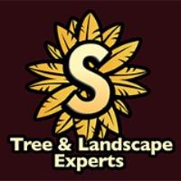 Supreme Tree Experts Orange County image 1