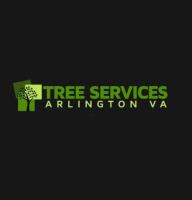 Tree Services Arlington VA image 5